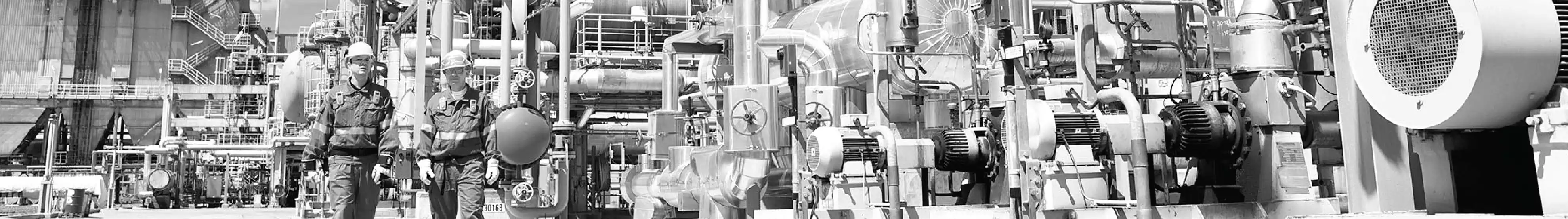 الصناعات البتروكيماوية